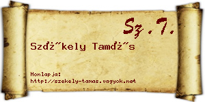 Székely Tamás névjegykártya